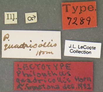 Media type: image;   Entomology 7289 Aspect: labels